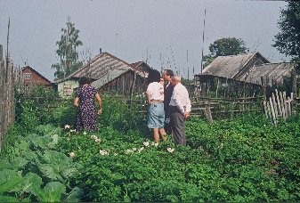 garden